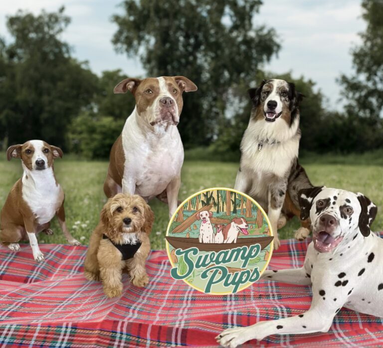 dog pics, pet photographer photo assistance, pet picture assistance, help my dog stay still while taking family pictures